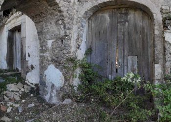 WhatsApp Image 2026-03-23 at 10.28.27.jpeg - Stable - Palace Fisciano - photo 8