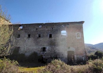 WhatsApp Image 2026-03-23 at 10.28.28 (1).jpeg - Stable - Palace Fisciano - photo 9