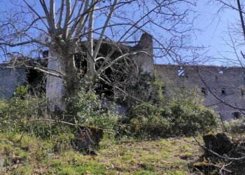 WhatsApp Image 2026-03-23 at 10.28.28 (2).jpeg - Stable - Palace Fisciano - photo 10