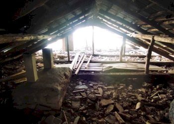 WhatsApp Image 2026-03-23 at 10.28.29 (2).jpeg - Stable - Palace Fisciano - photo 13