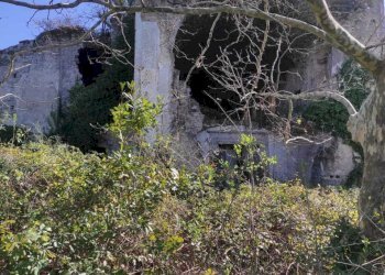 WhatsApp Image 2026-03-23 at 10.28.29 (3).jpeg - Stable - Palace Fisciano - photo 14