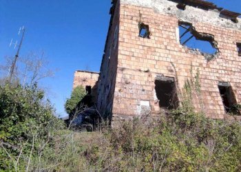 WhatsApp Image 2026-03-23 at 10.28.30 (1).jpeg - Stable - Palace Fisciano - photo 16