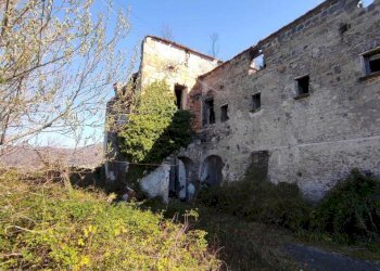 WhatsApp Image 2026-03-23 at 10.28.30 (5).jpeg - Stable - Palace Fisciano - photo 20