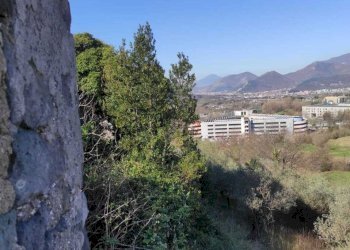 WhatsApp Image 2026-03-23 at 10.28.31 (1).jpeg - Stable - Palace Fisciano - photo 22