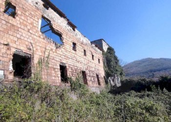 WhatsApp Image 2026-03-23 at 10.28.31 (3).jpeg - Stable - Palace Fisciano - photo 24