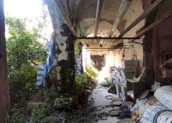 WhatsApp Image 2026-03-23 at 10.28.31 (5).jpeg - Stable - Palace Fisciano - photo 26