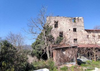 WhatsApp Image 2026-03-23 at 10.28.32 (2).jpeg - Stable - Palace Fisciano - photo 30