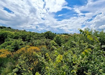 20250513_144737.jpg - Villa via cucicchi, Montecchio - photo 5