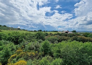 20250513_145524.jpg - Villa via cucicchi, Montecchio - photo 16