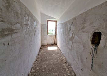 20250513_145609.jpg - Villa via cucicchi, Montecchio - photo 19