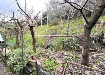 giardino - Appartamento Via del Bisenzio, Vernio - foto 23