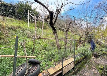 giardino - Appartamento Via del Bisenzio, Vernio - foto 24