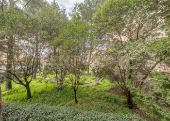 23..jpg - Bilocale Via Vittorio Valletta 10, Roma - foto 22