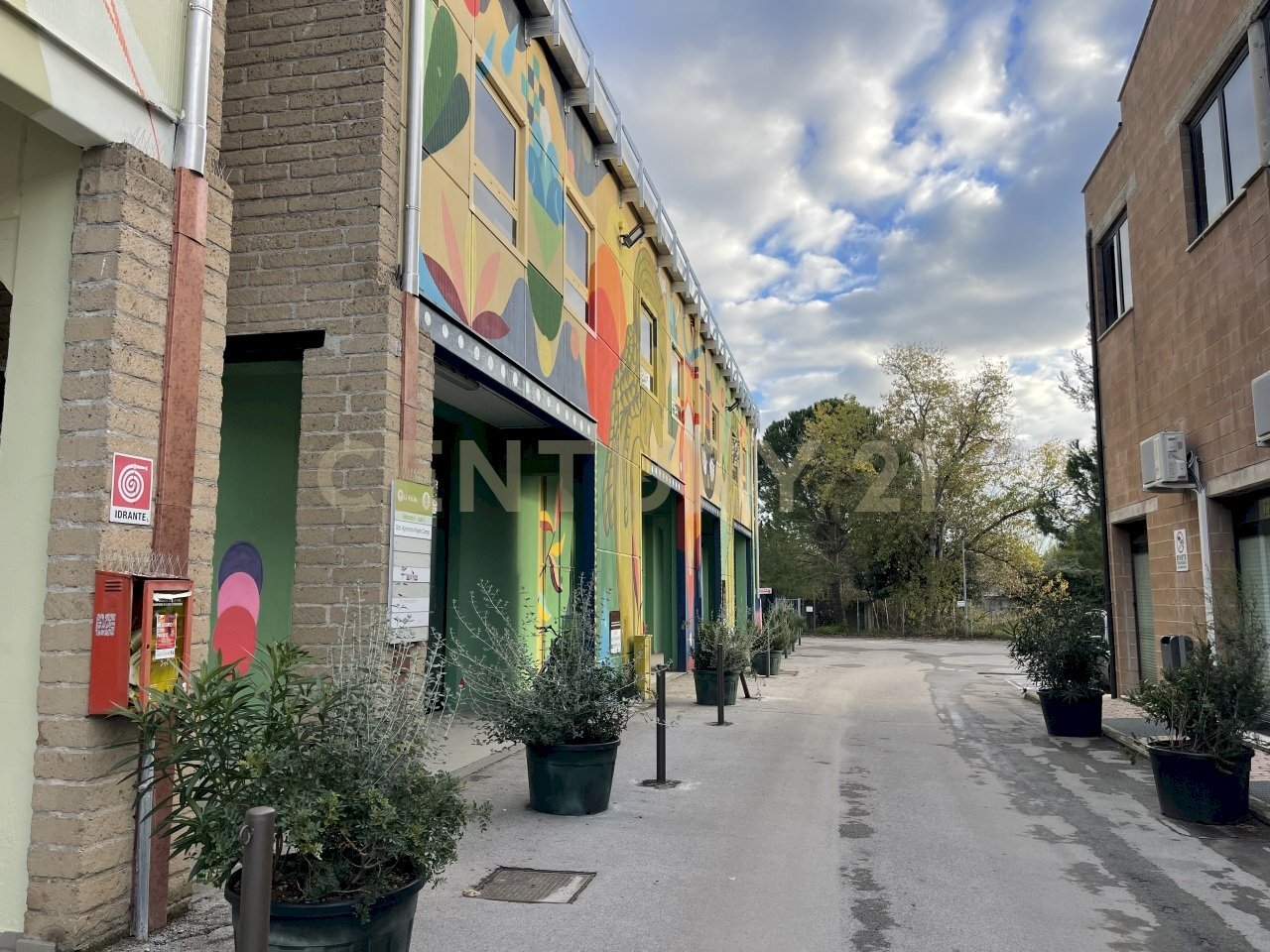 IMG_4858.jpeg - Ufficio Via de Barberi 108, Grosseto - foto 3