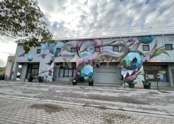 FACCIATA EDIFICIO - Ufficio Via de Barberi 108, Grosseto - foto 10