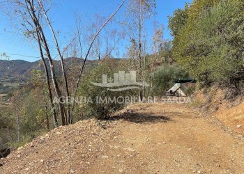 2024-09-19 23.24.01.jpg - Casale Jerzu - foto 10