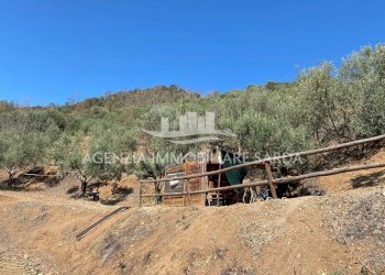 2024-09-30 15.24.44.jpg - Casale Jerzu - foto 13