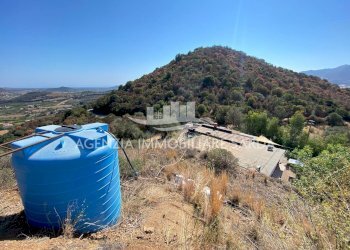 2024-09-30 15.24.55.jpg - Casale Jerzu - foto 14