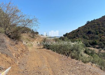 2024-09-30 15.25.00.jpg - Casale Jerzu - foto 15