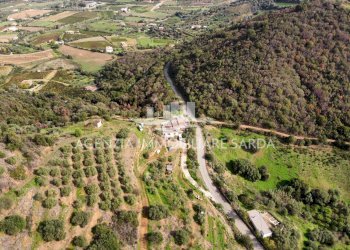 2024-11-20 15.42.12.jpg - Casale Jerzu - foto 19