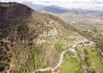 2024-11-20 15.42.28.jpg - Casale Jerzu - foto 20