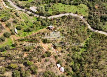 2024-11-20 15.42.41.jpg - Casale Jerzu - foto 21