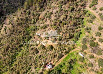 2024-11-20 15.42.48.jpg - Casale Jerzu - foto 22