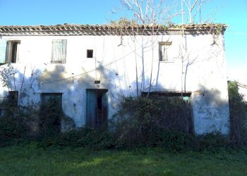 esterno - Rustic Senigallia - photo 2