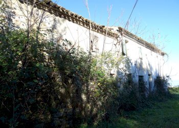 esterno - Rustic Senigallia - photo 4