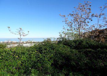 vista - Rustic Senigallia - photo 11