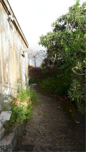 DSC00880.JPG - Villa Via Monte Grappa 7, Belpasso - photo 2