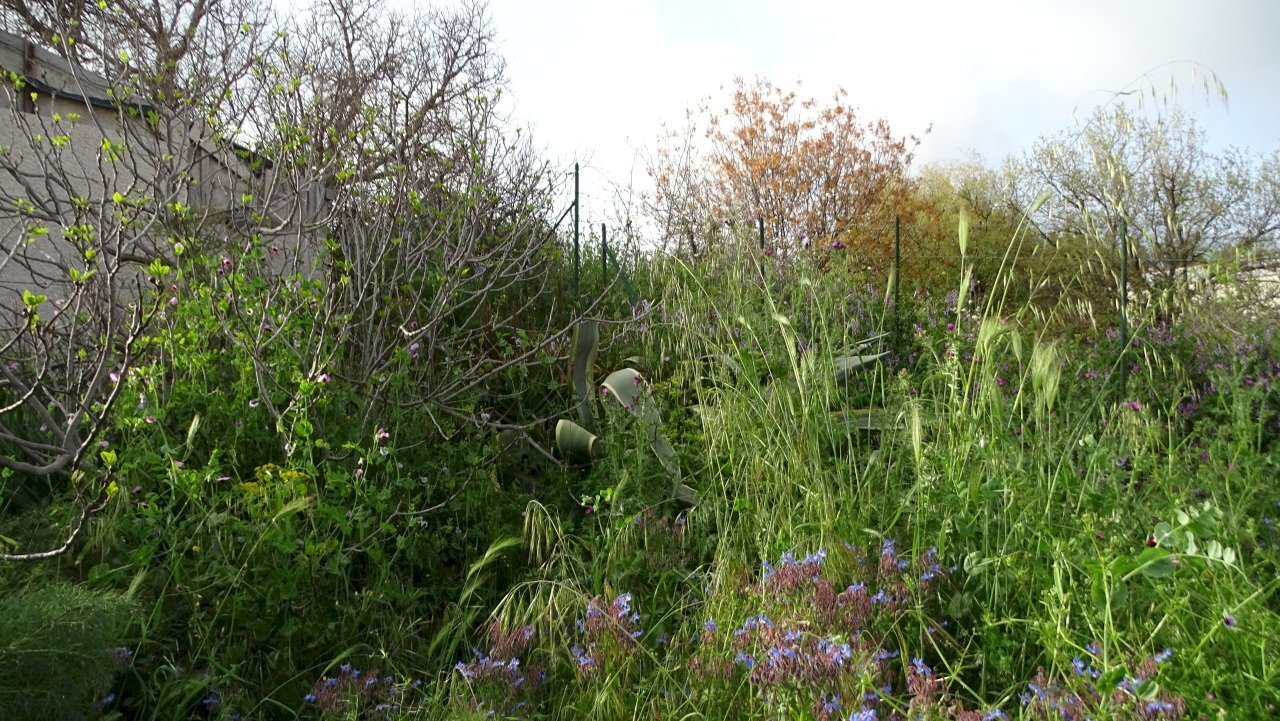 DSC00883.JPG - Villa Via Monte Grappa 7, Belpasso - photo 3