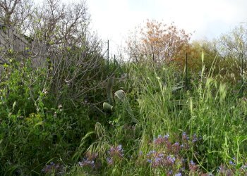 DSC00883.JPG - Villa Via Monte Grappa 7, Belpasso - photo 3