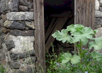 DSC00888.JPG - Villa Via Monte Grappa 7, Belpasso - photo 5