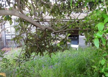 DSC00914.JPG - Villa Via Monte Grappa 7, Belpasso - photo 23