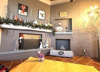 Independent house Aramengo - photo 14