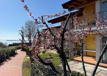 Two-room apartment Via Giovanni Pascoli, 18 
 Gardoncino, Manerba del Garda - photo 11