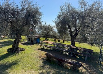 Two-room apartment Via Giovanni Pascoli, 18 
 Gardoncino, Manerba del Garda - photo 20