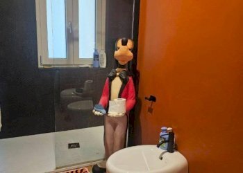 Villa Orbassano - foto 12