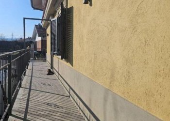 Villa Orbassano - foto 27