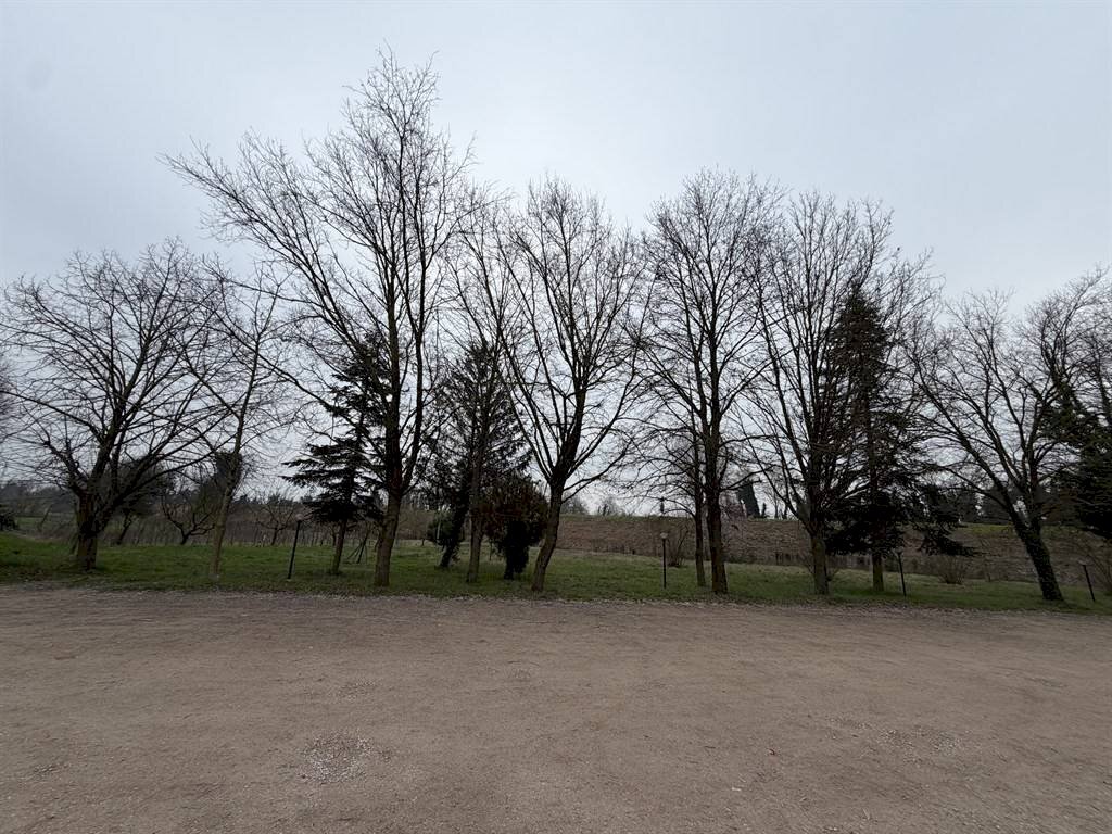 Restaurant Ravenna - photo 2