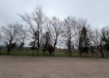 Restaurant Ravenna - photo 2