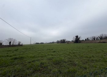 Restaurant Ravenna - photo 25