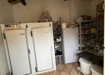 Restaurant Ravenna - photo 26