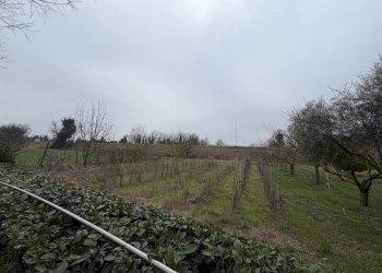 Restaurant Ravenna - photo 34