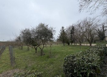 Restaurant Ravenna - photo 35