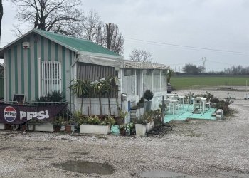 Negozio Ravenna - foto 4