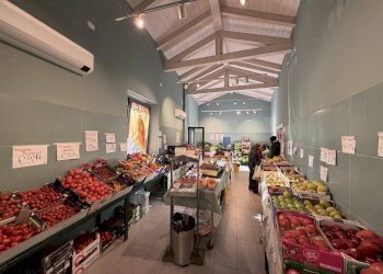 Negozio Ravenna - foto 3