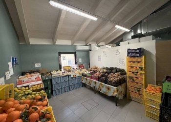 Negozio Ravenna - foto 4