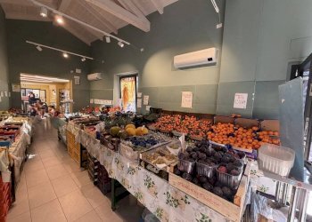 Negozio Ravenna - foto 5